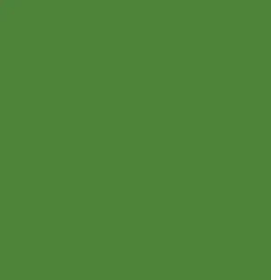 La imagen muestra un fondo verde
